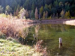 LAGO BORELLO